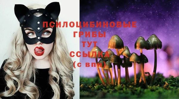 хмурый Арсеньев