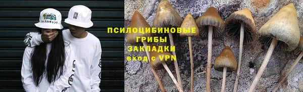 индика Аркадак