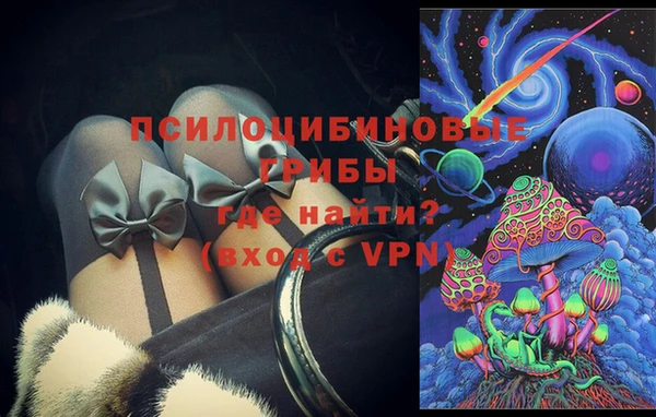 хмурый Арсеньев